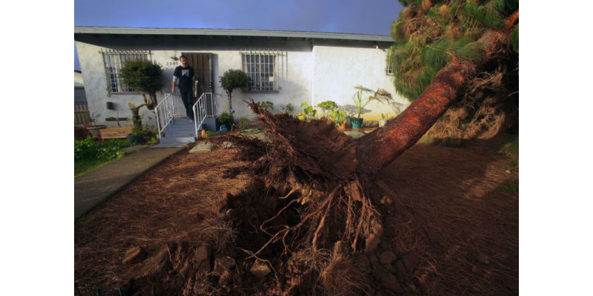 Ужасный циклон повалил деревья и оборвал ЛЭП