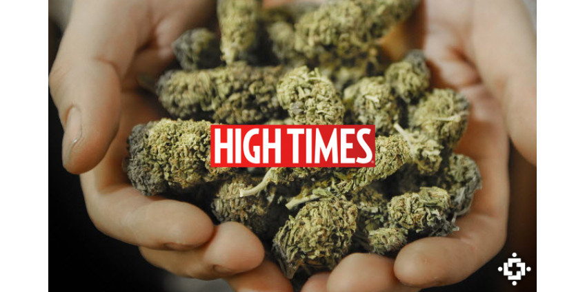 В Городе Грехов может открыться казино с коноплей