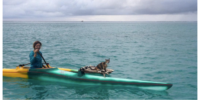В Сан-Диего набирает популярность кошка-моряк