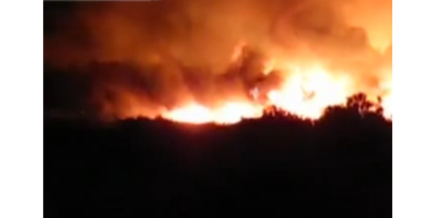 Опубликованы кадры мощного пожара в Аризоне