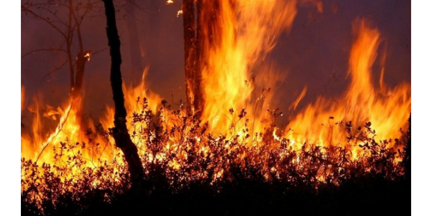 Лесные пожары вновь охватили Аризону