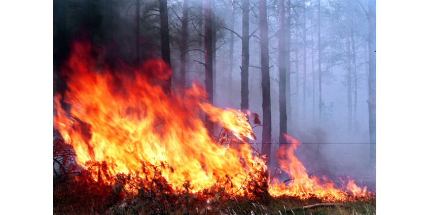 Сан-Диего находится под угрозой пожаров