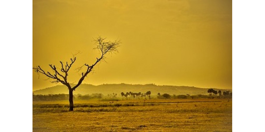 В Аризоне от жары погибают люди
