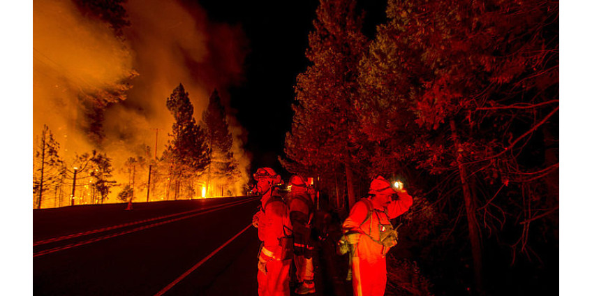 Еще два человека погибли в лесных пожарах в Сан-Диего