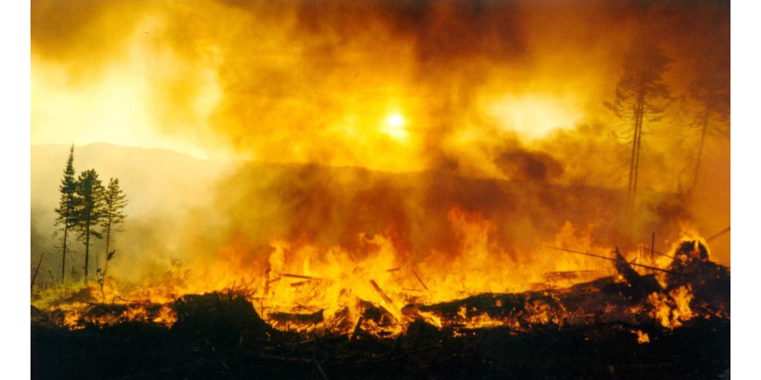 100 домов уничтожены огнем в Калифорнии