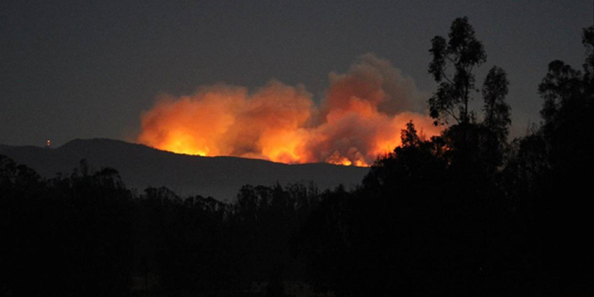 В Финиксе прошел симпозиум, посвященный угрозе лестных пожаров и терроризма