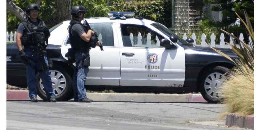 Выехавших на вызов полицейских расстреляли неизвестные