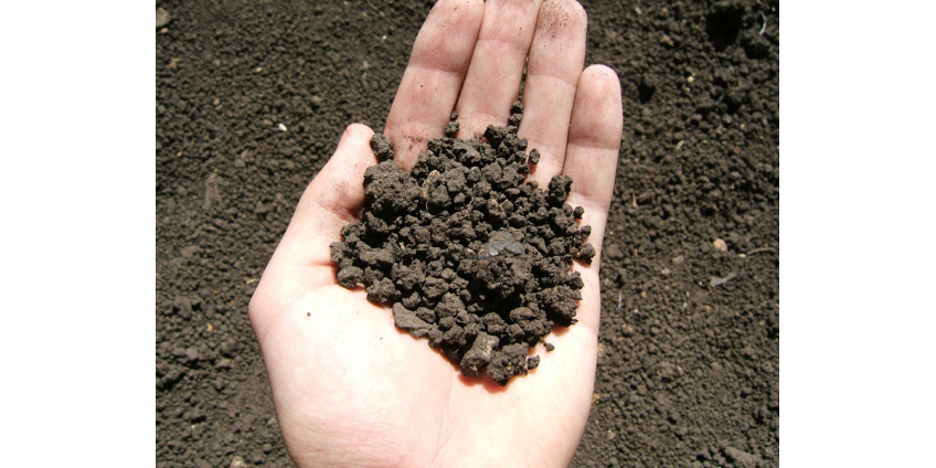 Земля Калифорнии обогащает инвесторов