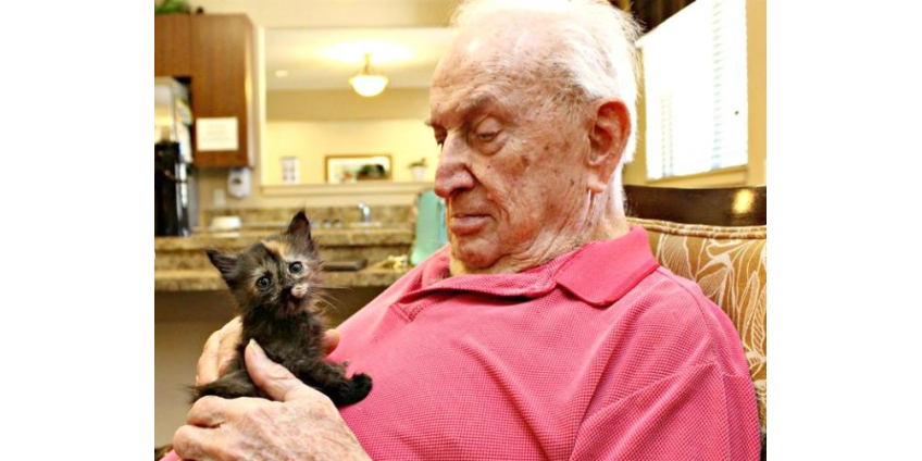 В Аризоне объединили дом престарелых и приют для котят