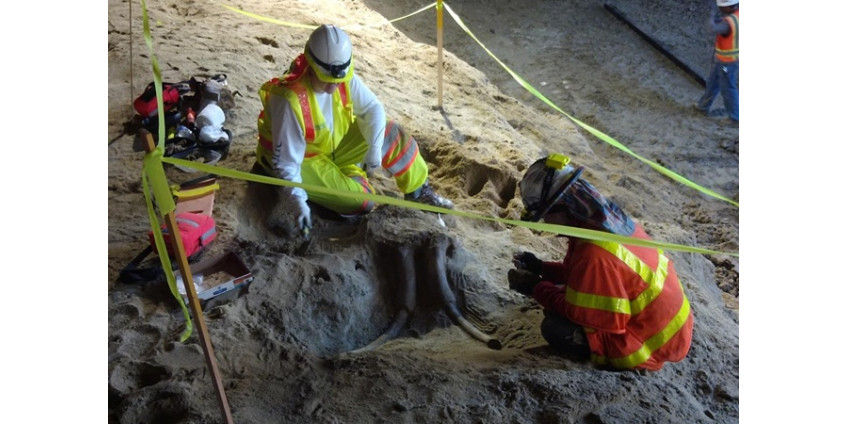 Удивительная находка в метро Лос-Анджелеса