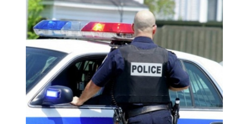 В Аризоне у «Тупака» и «Робина Уильямса» нашли 45 кг наркотиков