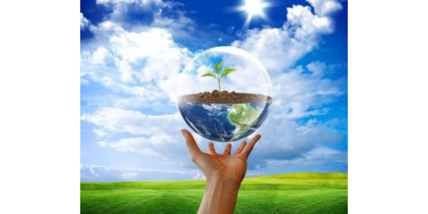 Жители Сан-Диего обратились к Трампу с требованиями позаботиться об экологии