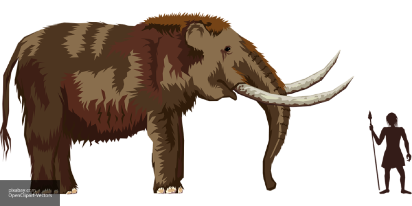 В Сан-Диего нашли следы предков современных американцев