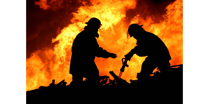 В Аризоне вспыхнул сильный лесной пожар