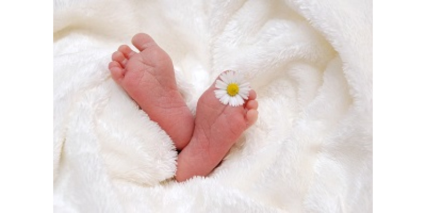 В Калифорнии родился настоящий богатырь