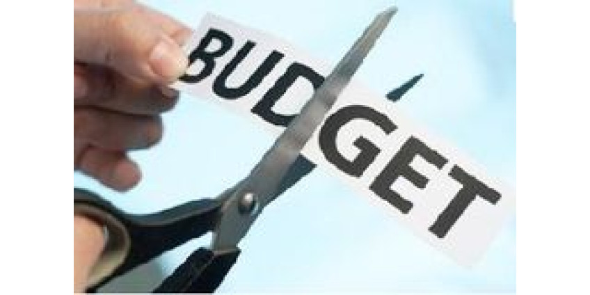 В Сан-Диего прошли митинги против сокращения расходов на культуру