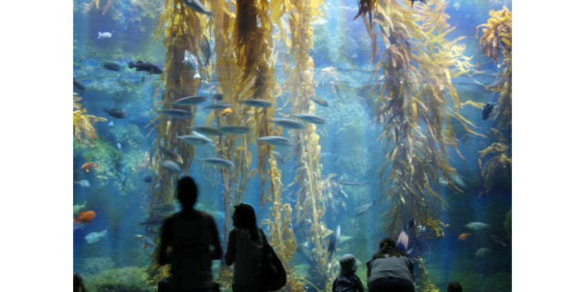 Более 40 музеев в октябре приглашают детей на бесплатные экскурсии