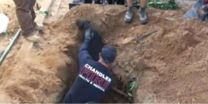 В пригороде Финикса развернулась спасательная операция в помощь собаке