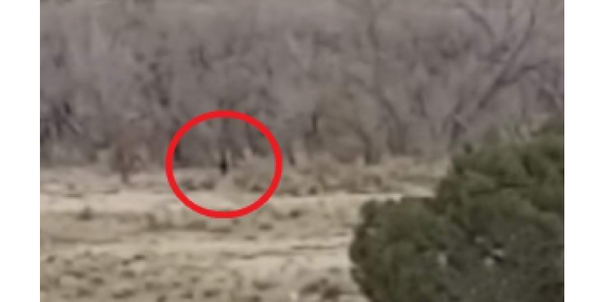 Возле поселений индейцев в Аризоне был замечен снежный человек