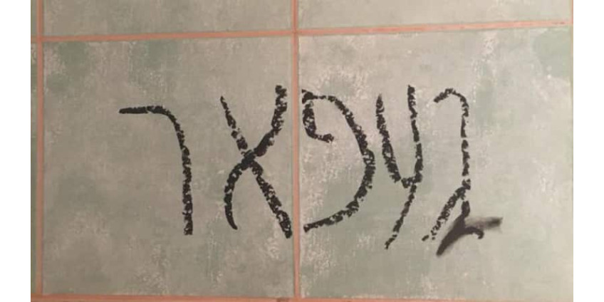 Жителей Финикса пугает паранормальная активность в собственном доме