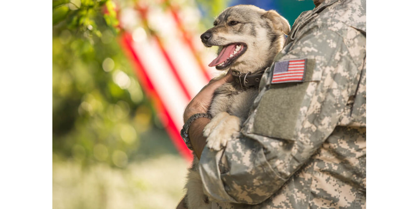 225 военных из Аризоны отправятся на границу с Мексикой