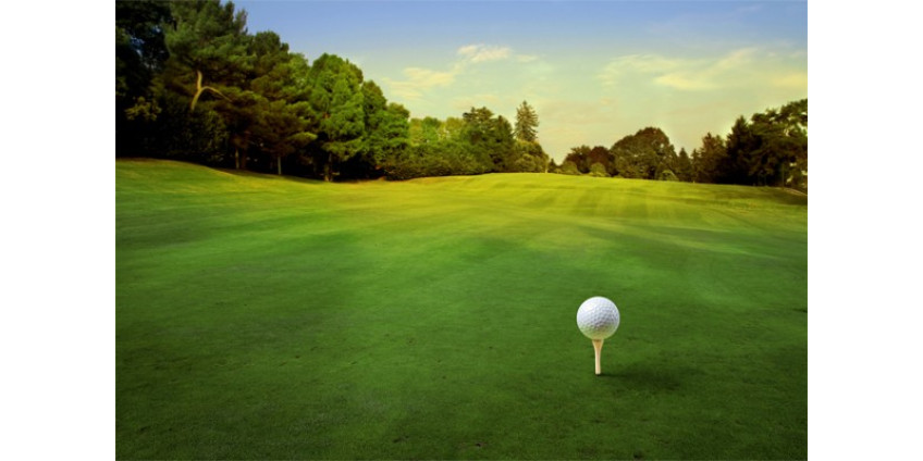 В Аризоне на поле для гольфа упал самолет