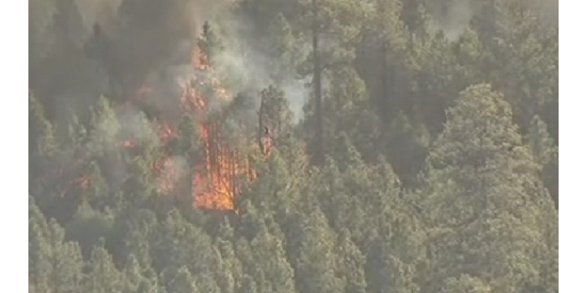 В Аризоне полтысячи пожарных сражаются с огнем