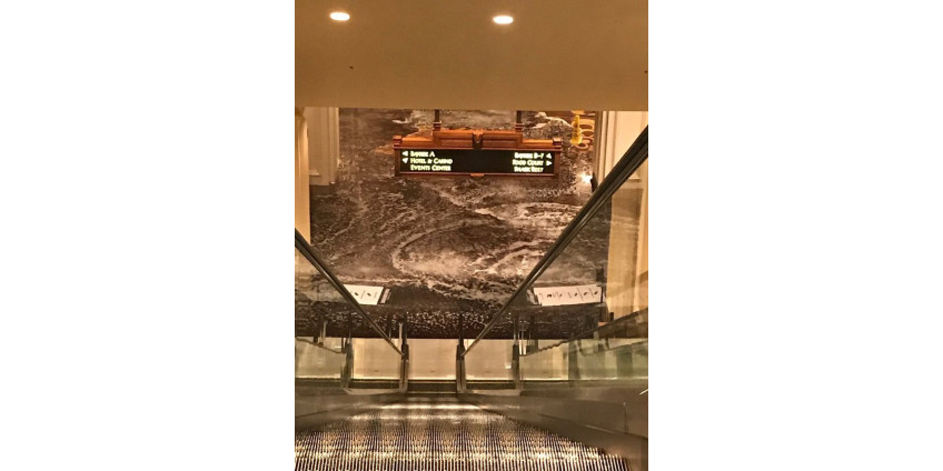 Потоп в отеле в Лас-Вегасе привел к эвакуации 1000 человек