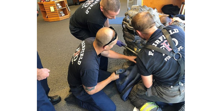 Для спасения ребенка спасателям пришлось распилить произведение искусства в Калифорнии