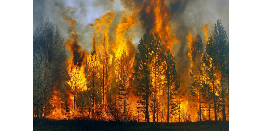 Пожары в Калифорнии убили по меньшей мере 5 человек