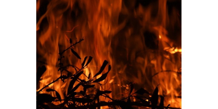 Калифорнийский лесной пожар стал одним из самых разрушительных за всю историю штата