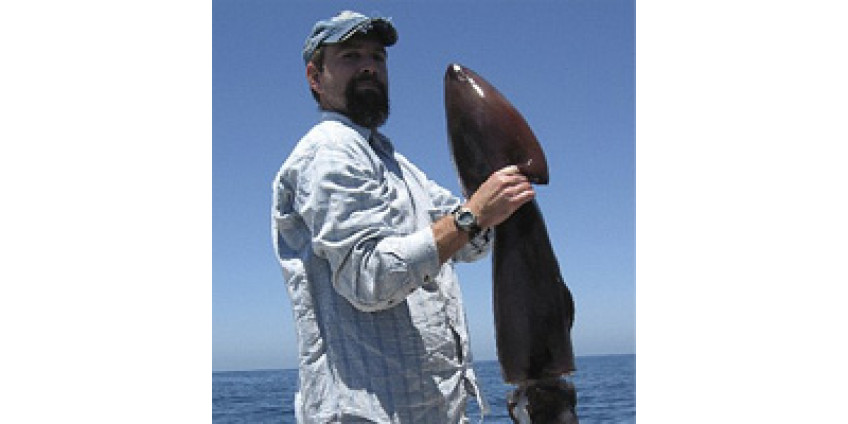 Гигантские кальмары не дают купаться