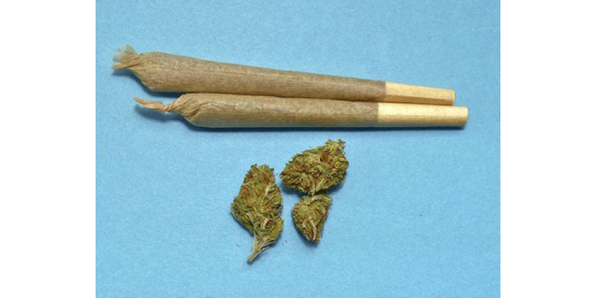 Аэропорт Лос-Анджелеса позволит проносить марихуану