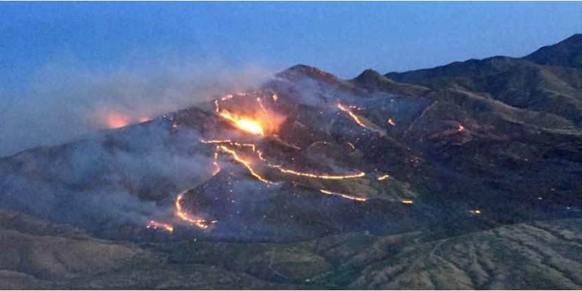 Суд вынес решение в отношении мужчины, устроившего пожар в Аризоне на 18 000 га