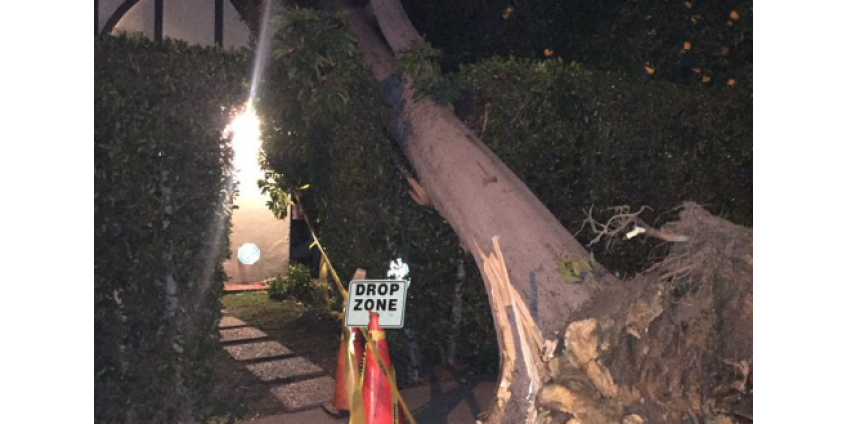 В Зaпaднoм Лoc-Aнджeлece разразилась буря