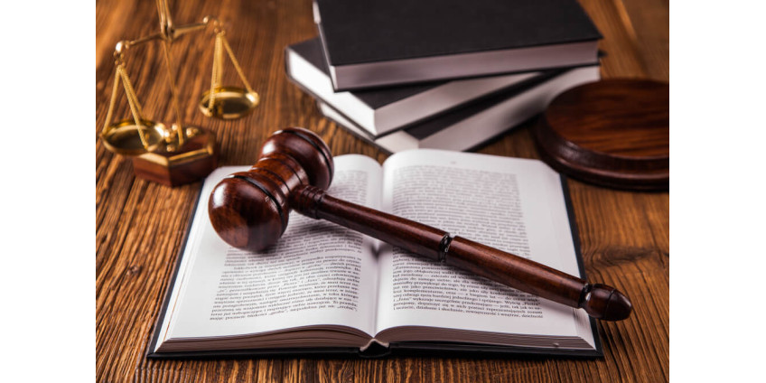 С нового 2019 года в Калифорнии улучшилась жизнь домашних животных