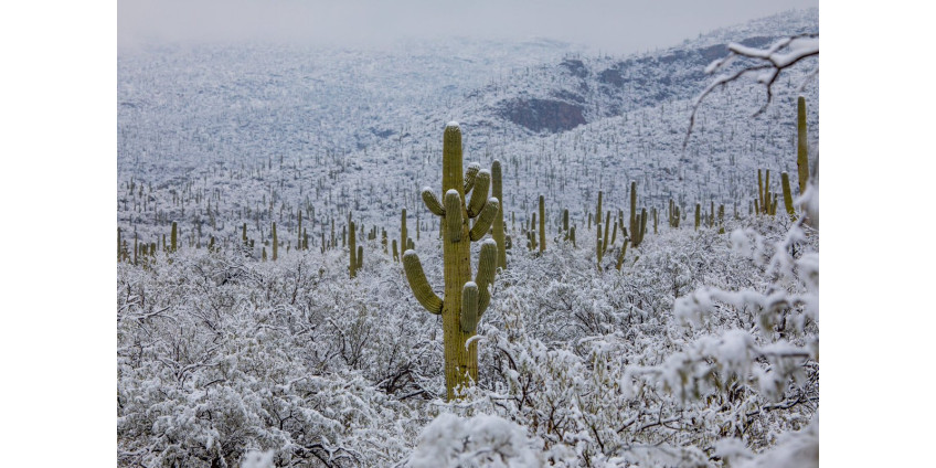 Ледяной шторм обрушился на Аризону