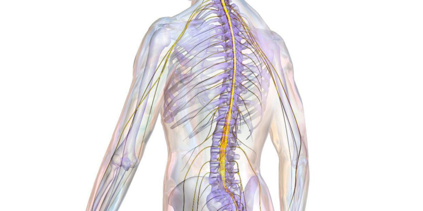 В Сан-Диего создали 3D-принтер, сравнимый по важности с рентгеном, микроскопом или скальпелем
