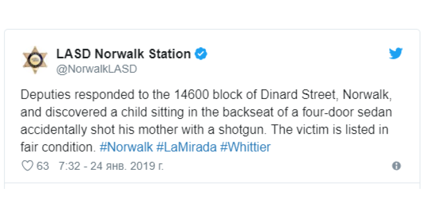 Ребенок из Калифорнии ранил собственную мать из дробовика