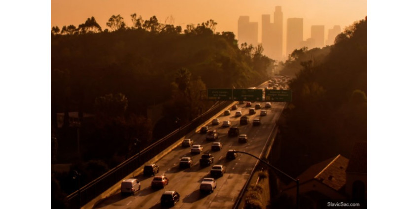 Большая часть прибывающих в Калифорнию является иммигрантами