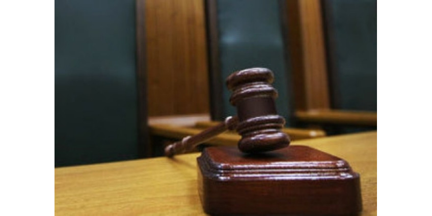 С нелегалами нужно обращаться хорошо