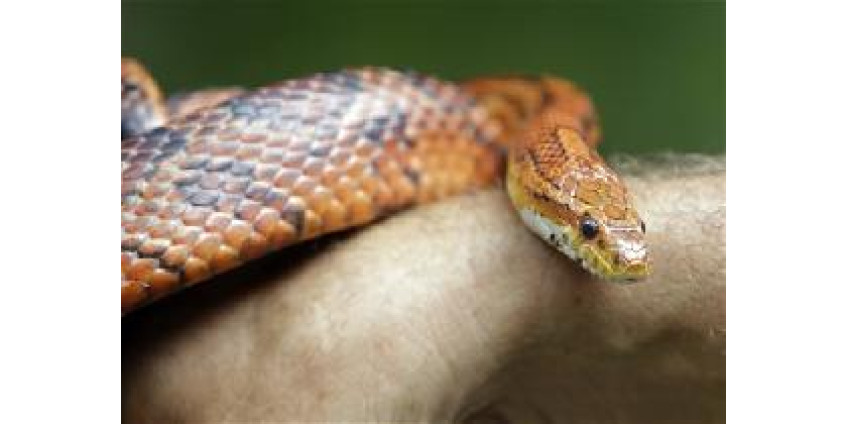 О безопасности нужно помнить даже дома