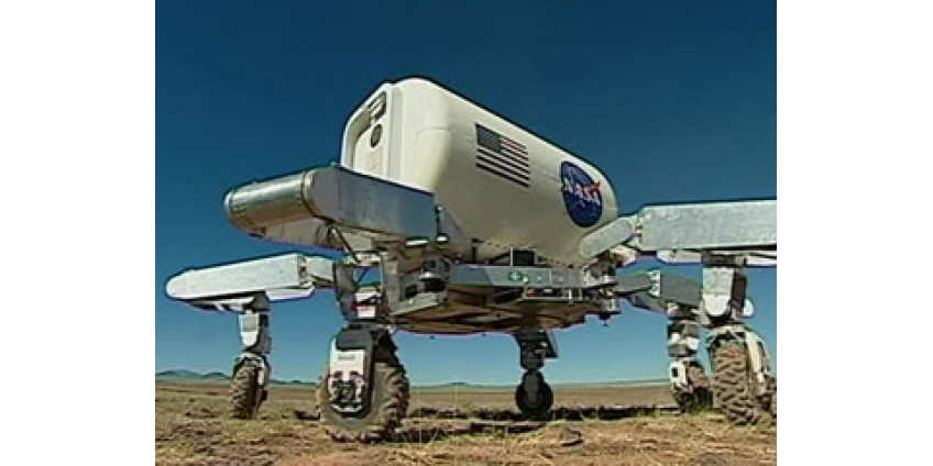 В Аризоне выращивают космические растения