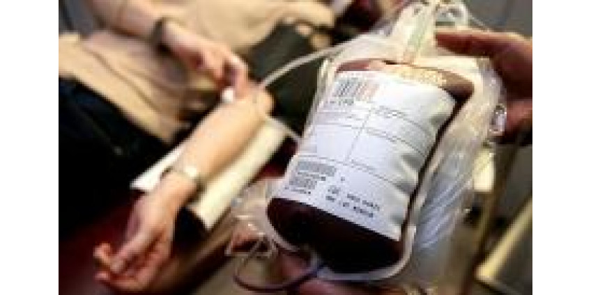 Сдать кровь - великое дело