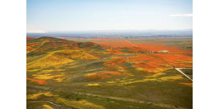 НАСА опубликовало снимки Калифорнии в оранжевых цветах