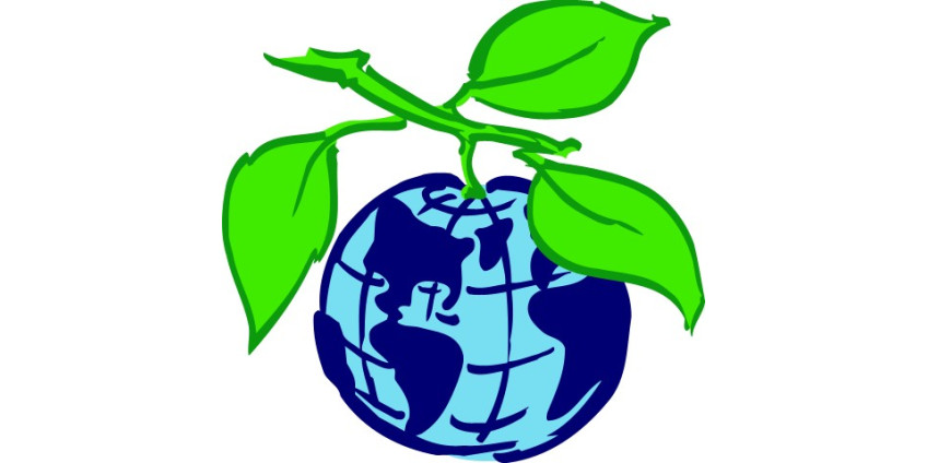 Экология превыше всего