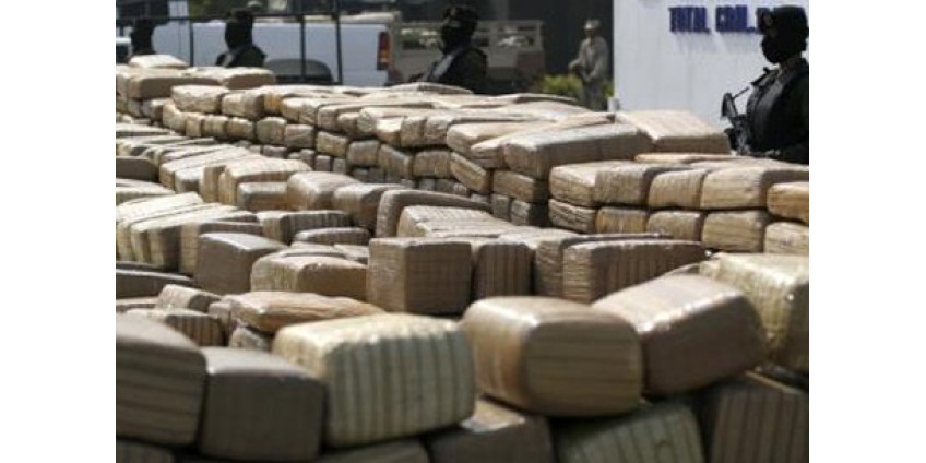Сан-Диего избавится от 20 тонн марихуаны