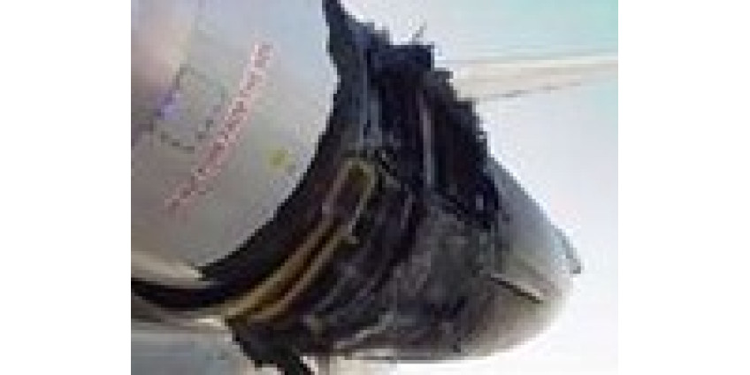 Птицы атаковали самолет