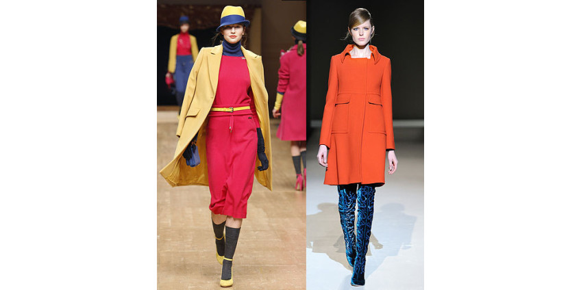 Поблизости от Сан-Диего на берег выбросился китенок