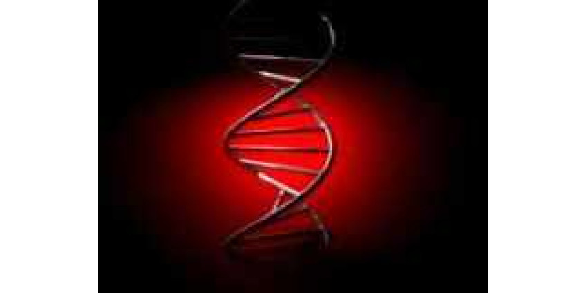 Алкоголизм – это врожденное